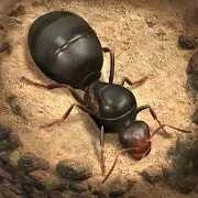 蚂蚁：地下王国(附兑换码)手游安卓版